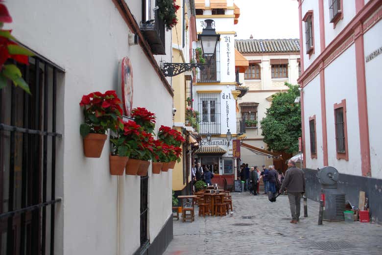 Promenez-vous dans le quartier de Santa Cruz
