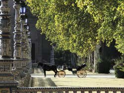 Calèche au Parc de María Luisa